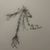 Creative Thinking - Still Living