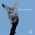 Sunny Day Real Estate - Killed by an Angel