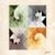 Gotye - Somebody That I Used to Know