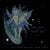 Animal Collective - Alvin Row