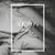 The 1975 - Sex