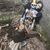 Estee Nack - 