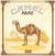 Camel - Lady Fantasy