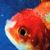 Vince Staples - Yeah Right