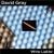 David Gray - Please Forgive Me